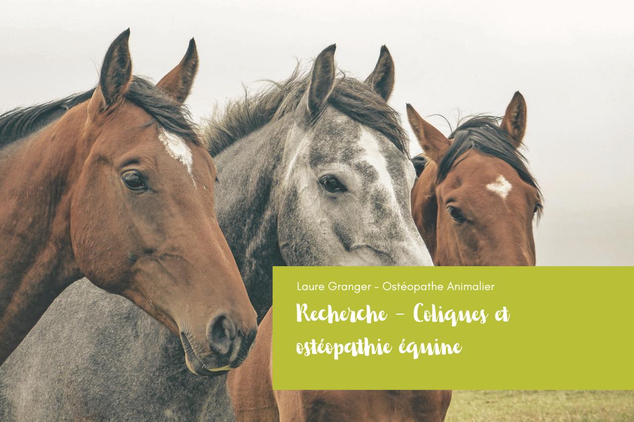 Coliques et Ostéopathie Équine