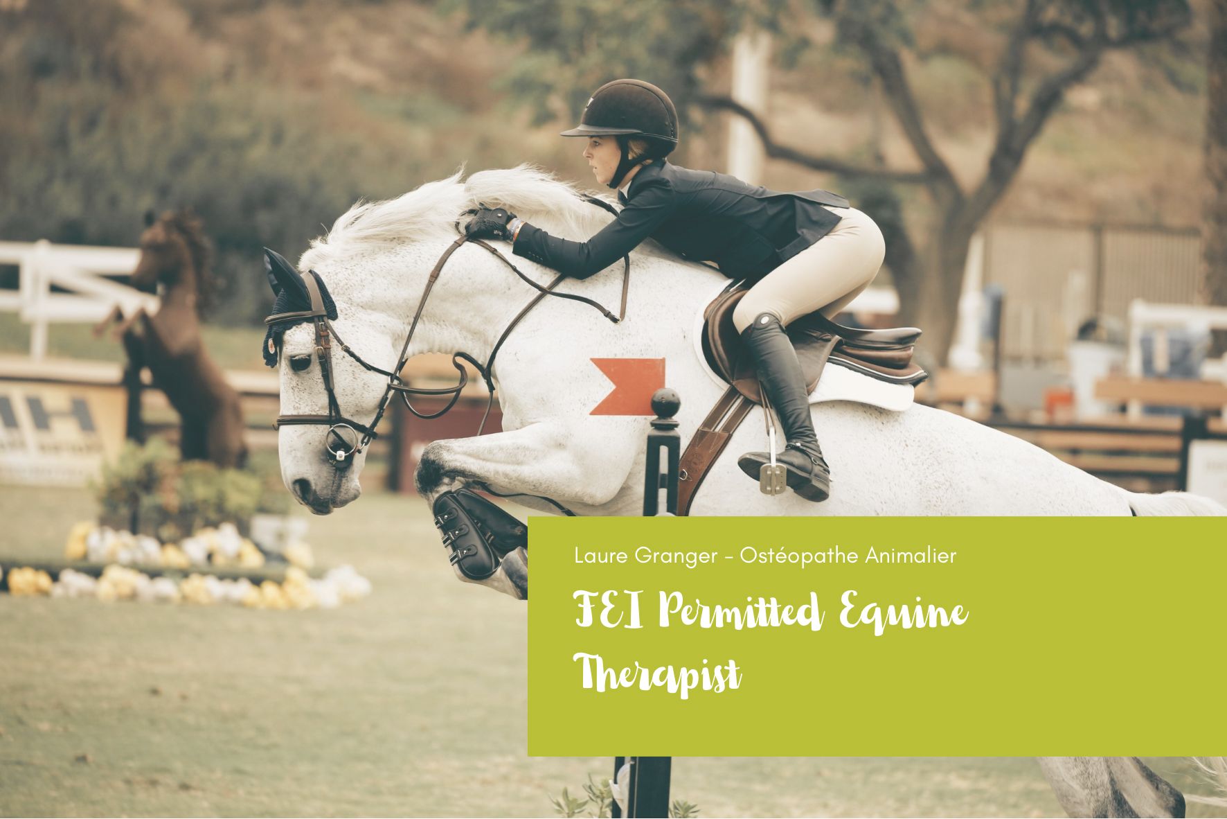 FEI Permitted Equine Therapist (PET)