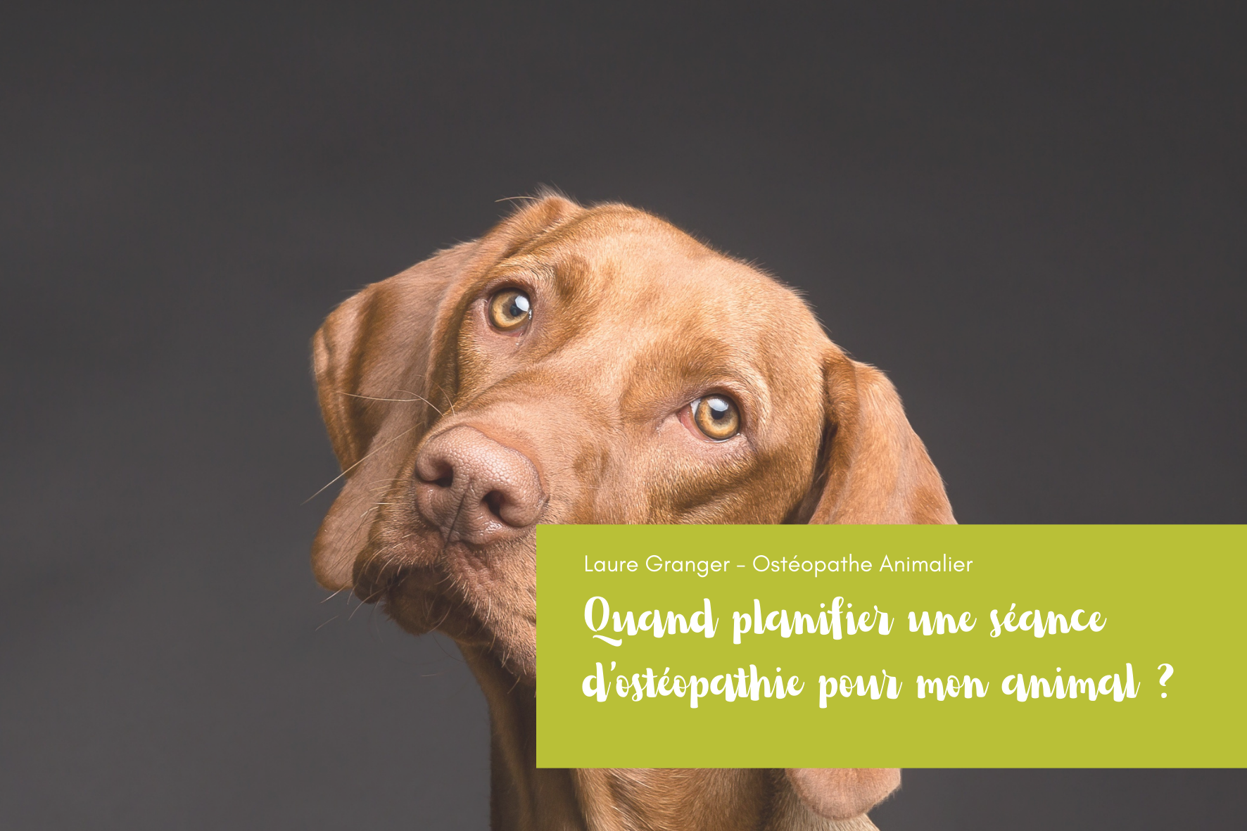 Prévention et bienfaits au quotidien