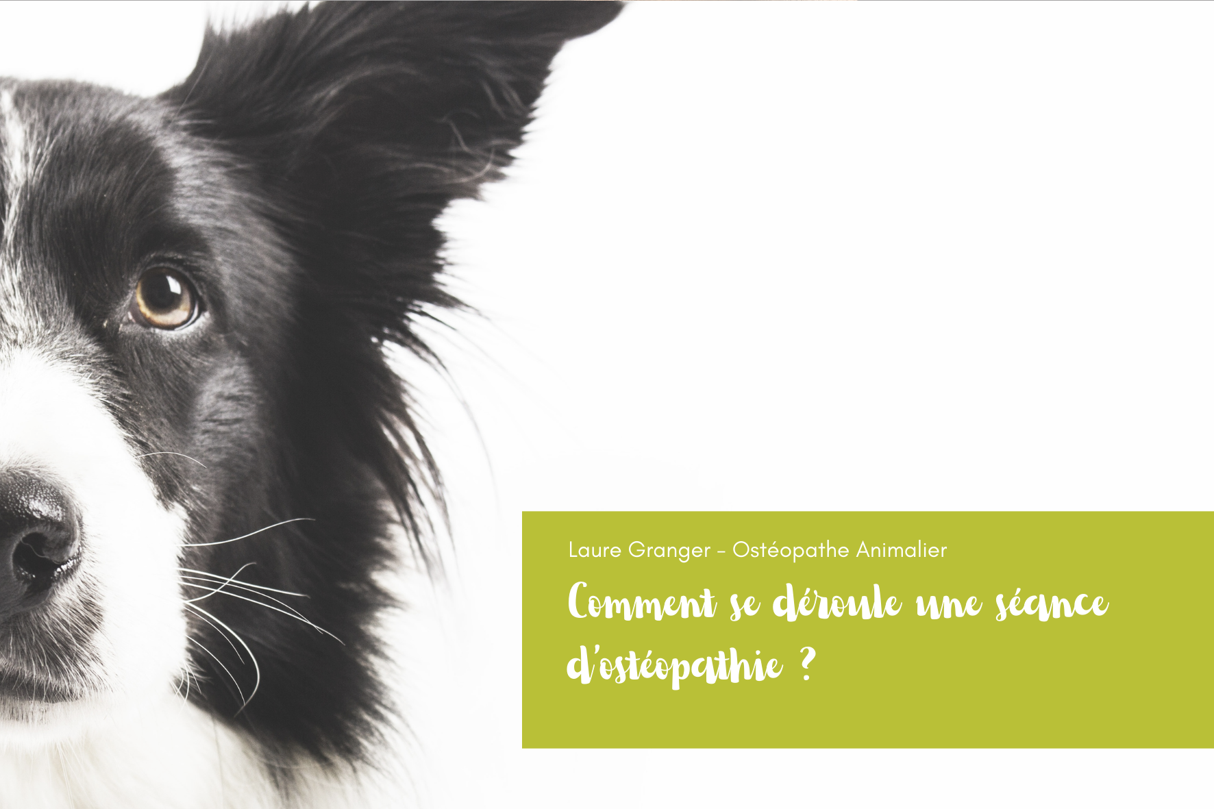 Les coulisses d'une séance d'ostéopathie