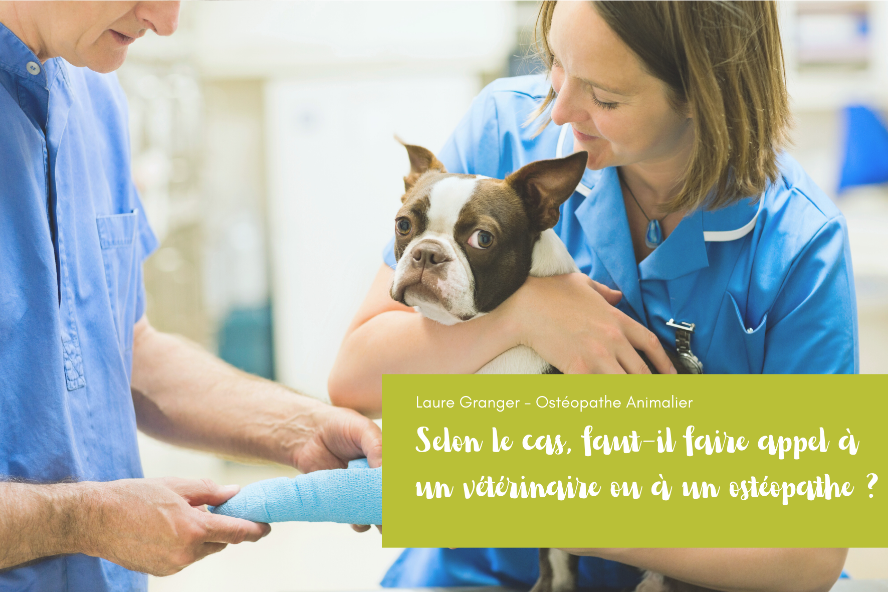 Ostéopathie ou vétérinaire ?