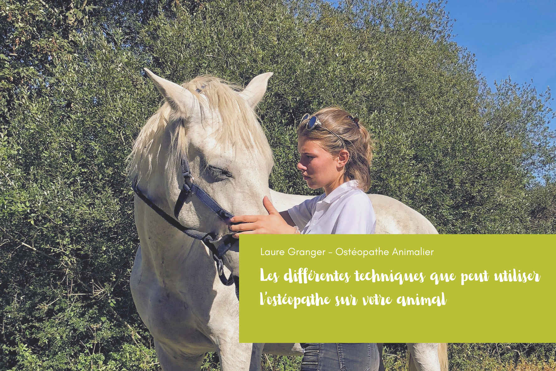 Les techniques ostéopathiques expliquées