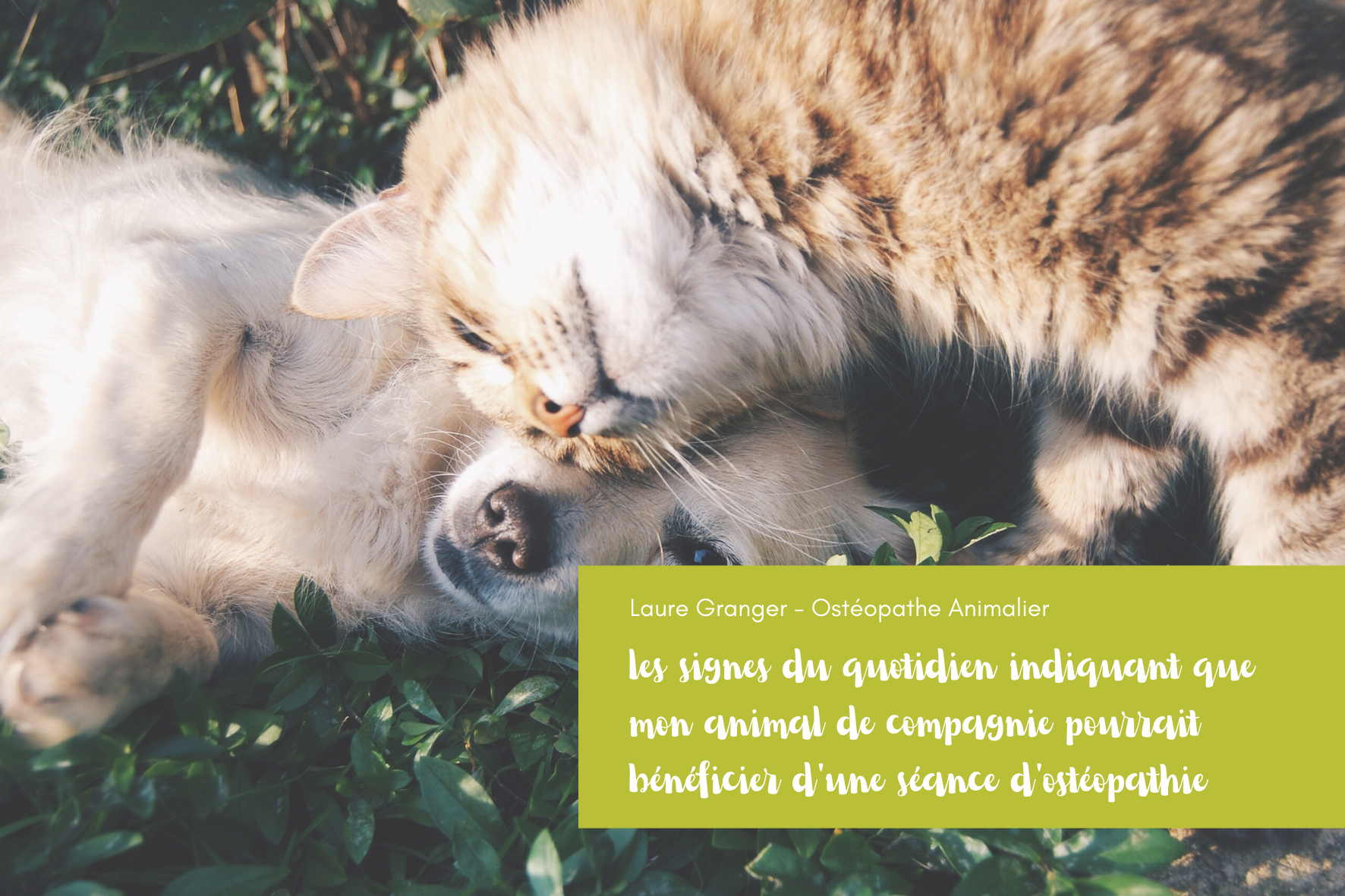 Les signes qui doivent alerter